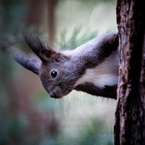 20240222-Canon EOS R6m2-IMG_4921