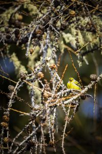 20240407-Canon EOS R6m2-IMG_7805