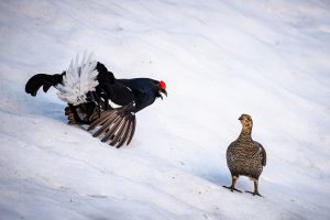 20240511-Canon EOS R6m2-IMG_4677