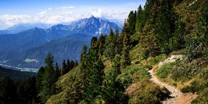 Blick auf die Serles