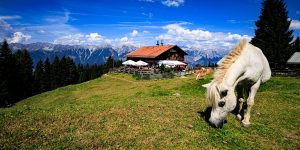 20240904-Canon EOS R6m2-IMG_5326