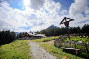 IMG_4911