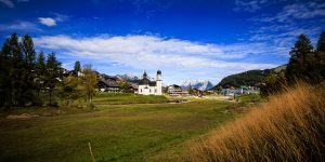 20241007-Canon EOS R6m2-IMG_6588