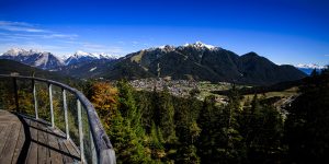 20241007-Canon EOS R6m2-IMG_6628