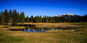 20241007-Canon EOS R6m2-IMG_6685