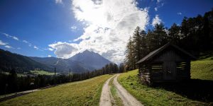 20241022-Canon EOS R6m2-IMG_7097