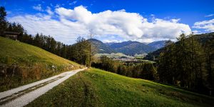 20241022-Canon EOS R6m2-IMG_7102