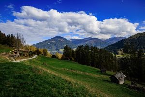 20241022-Canon EOS R6m2-IMG_7129