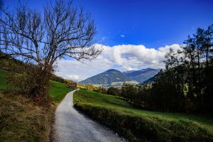 20241022-Canon EOS R6m2-IMG_7140