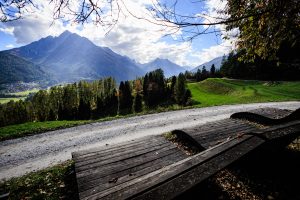 20241022-Canon EOS R6m2-IMG_7142