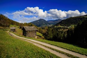 20241022-Canon EOS R6m2-IMG_7187