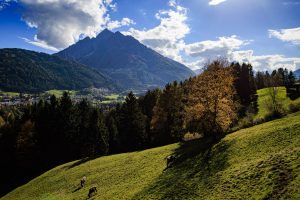 20241022-Canon EOS R6m2-IMG_7190