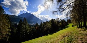 20241022-Canon EOS R6m2-IMG_7197