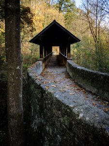 20241022-Canon EOS R6m2-IMG_7238