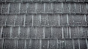 Tip Top Tours Winterfotos-092733