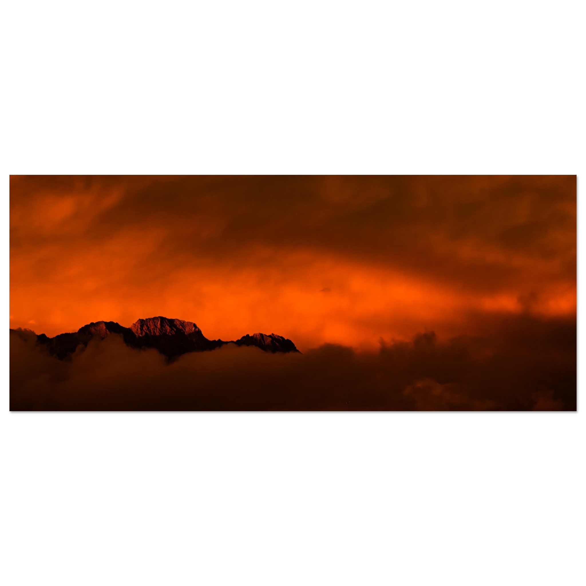 0f503859-16fd-4cfe-9c97-59d346b49cd2