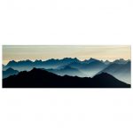 41c9545e-c5c7-4e36-92e2-c585adfcbbba