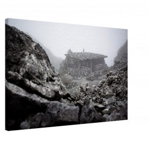 4419c973-e5c2-4da4-b26e-b45545967aa8