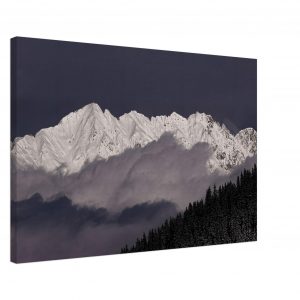 5def4234-5036-487c-8007-8e706ec5a3d6