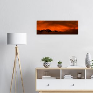 c2ce016b-40ca-4e9f-8740-869ab36983a0