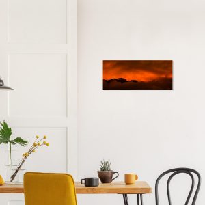 d8ddd539-256a-4f55-8ad0-f35512404792