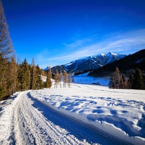 Tip Top Tours Winterfotos Seefeld-7581