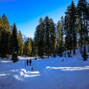 Tip Top Tours Winterfotos Seefeld-7632