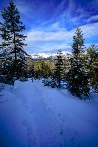 Tip Top Tours Winterfotos Seefeld-7663