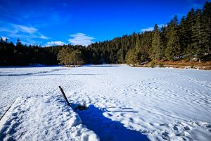 Tip Top Tours Winterfotos Seefeld-7758