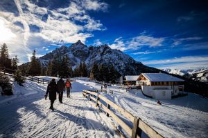 Waldrasterjöchl-9450