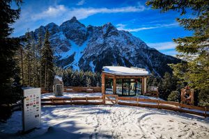 Waldrasterjöchl-9482