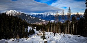 Waldrasterjöchl-9511