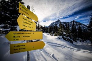 Waldrasterjöchl-9530