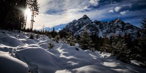 Waldrasterjöchl-9534