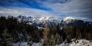 Waldrasterjöchl-9542