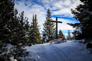 Waldrasterjöchl-9550