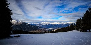 Waldrasterjöchl-9572