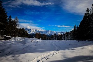 Waldrasterjöchl-9599