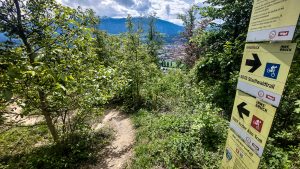 E-MTB IBK Trailrunde-115507