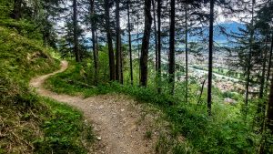 E-MTB IBK Trailrunde-133807