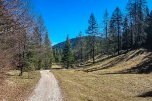 EMTB Seefeld Seenrunde-111454